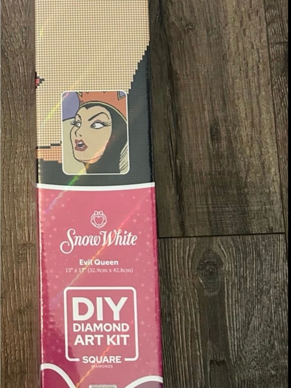 Snow White Evil Queen Pink DIY Diamond Art Kit